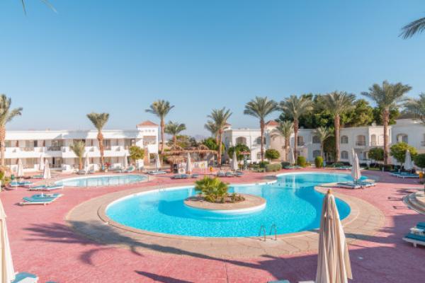      Viva Sharm Hotel 3*   -  , 28.12.2025 .