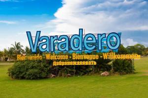     16.11.25  12   100 .  .