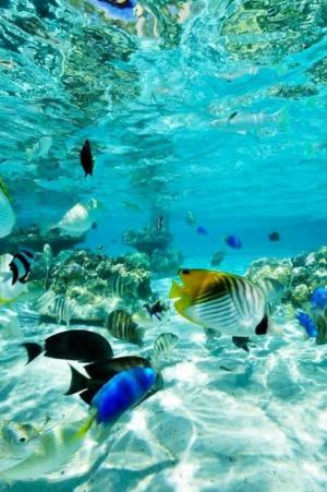 ����-��-���� �� �����-����������