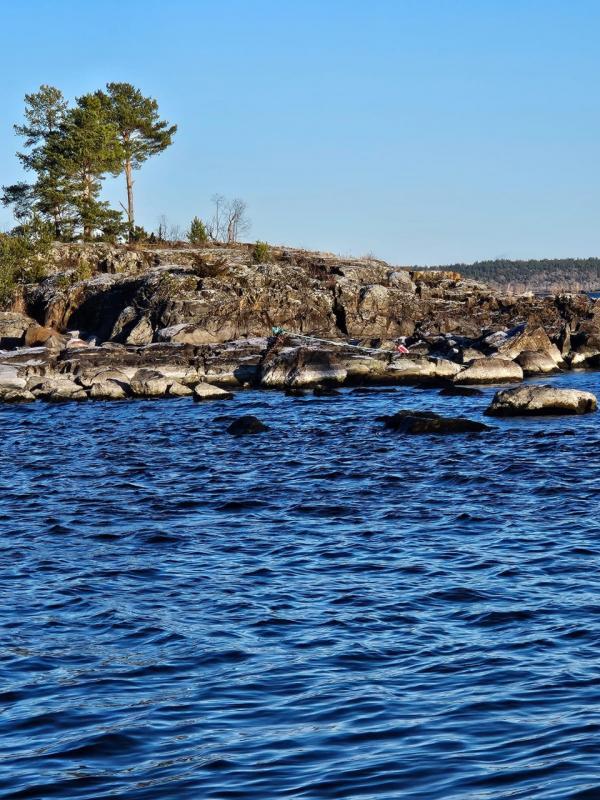 НА СОЛОВКИ В ДЕНЬ РОССИИ