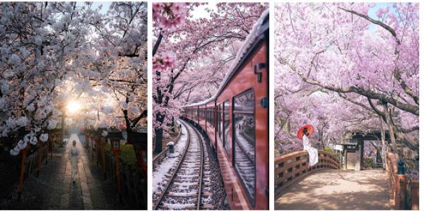 ������������ ������