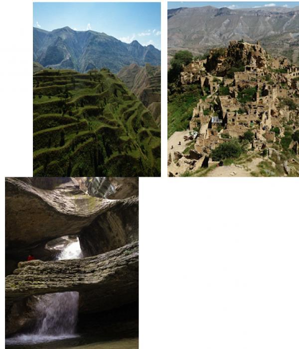 ���� ������ � ���������