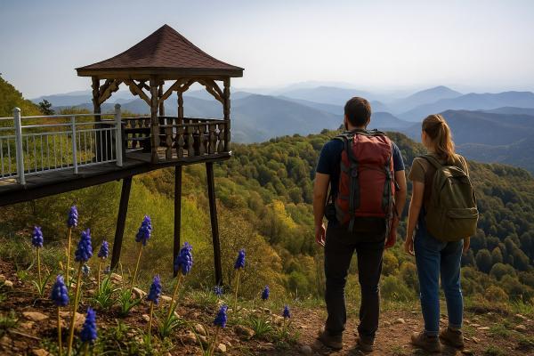 �����������, ������! ����, 6 ���� + �/� ��� ����