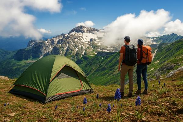 �����������, ������!, 7 ���� + �/� ��� ����