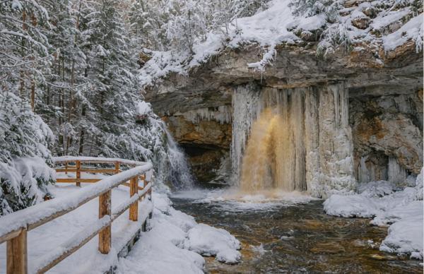 ������� ���������, 5 ���� + �/�, ������� - ����