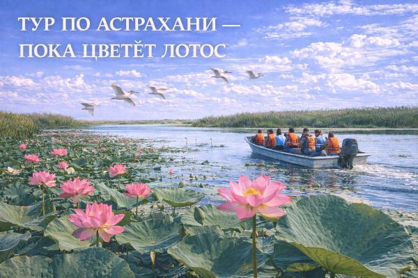 ���� ����� �����, 4 ��� + ���� ��� �/�