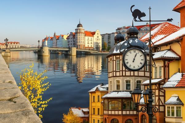 ��������������� ��������, 4 ��� + ���� ��� �/�, ������ - ����