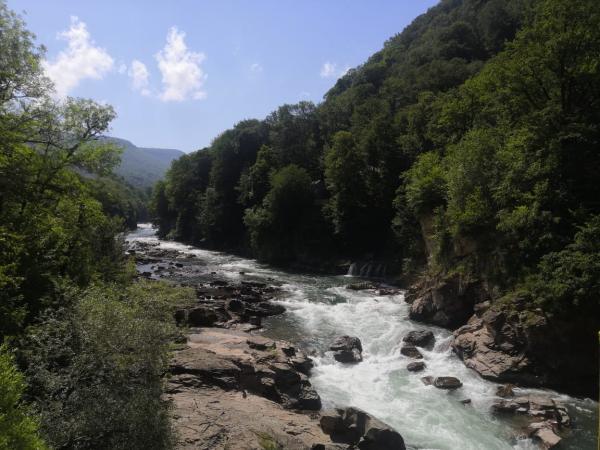 ������: ������ ������� ����