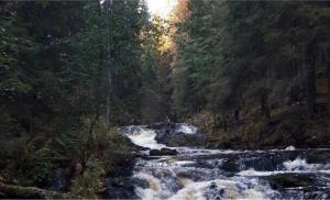 ������� - ������ ���������