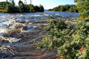 ������� �� 4 ���: �������� � ����� �� ���� ���