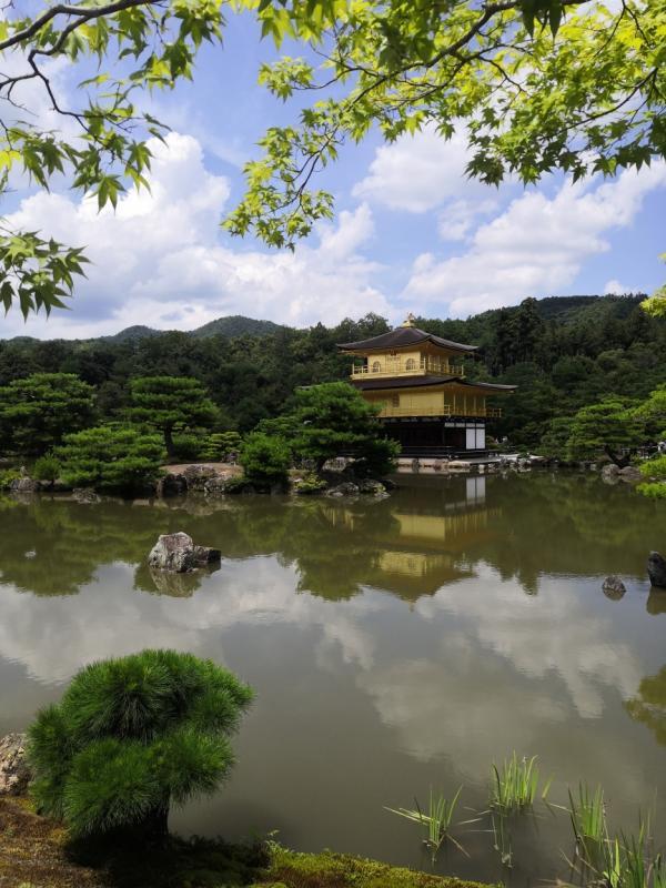 ������ ������ � ������� �� �����. ����������� �� �����