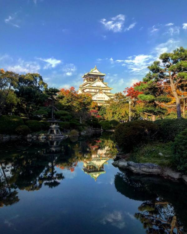 �������� ����������� + ������� c ������� ��������