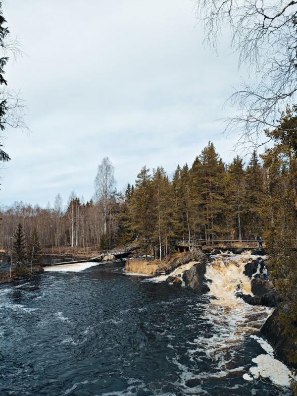 3 ������ ��� � �������. ��������, ��������, �����, ���� ��������.