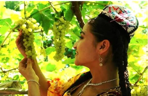 ���������� - ������ � ������, ���� �� �����