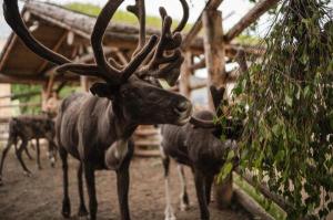 �������� � ������ ���������