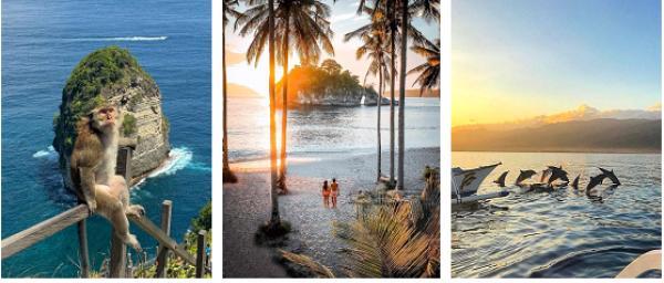 ���������� ����. 6 ���� / 5 �����