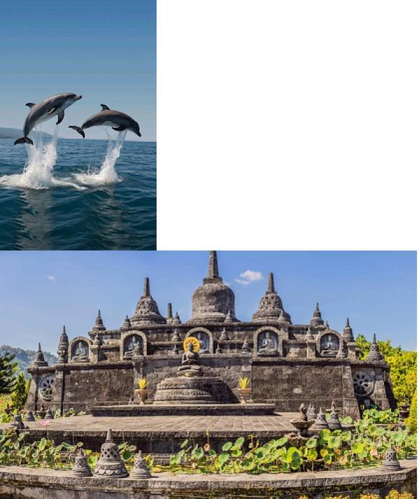 ���������� ����. 6 ���� / 5 �����