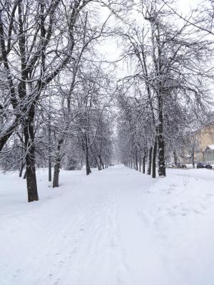 ��������� ���� ���������� ���� (2 ���) �������� ��� ������ � �������� ��� �������!