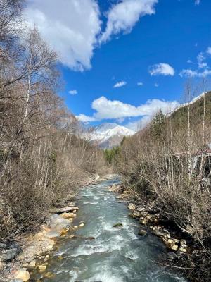 ���������� ������� (5 ����)