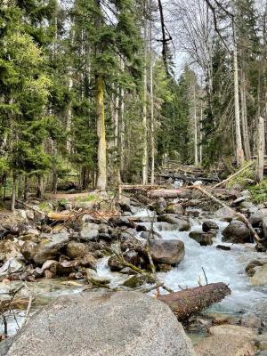 ���������� ������� (5 ����)