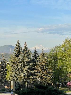 � ����� �� ������ (6 ���� / 5 �����)