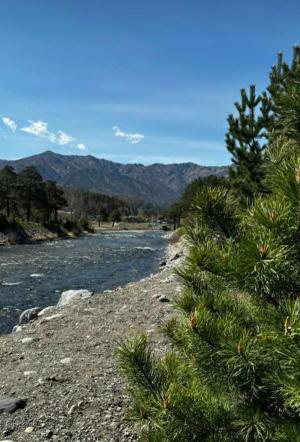 �������� ���������� (4 ���)