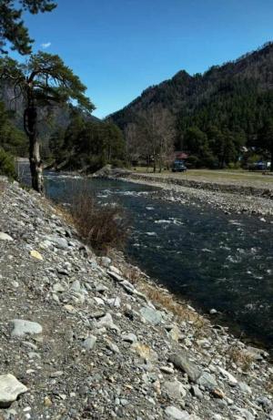 ��������� �������� (6 ����)