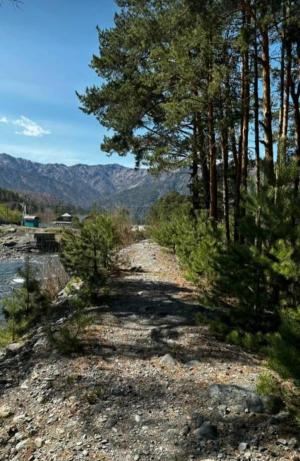 ��������� ����������� (7 ����)