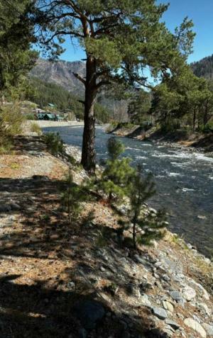 ��������� ����������� (7 ����)