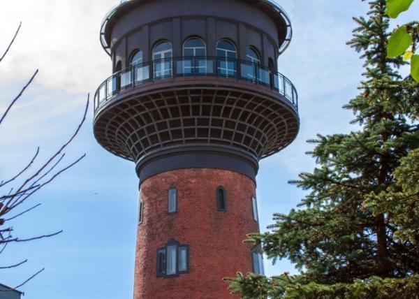 ������� �������, 5 ����.