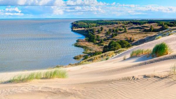 ����������� ��������+����� ����������, 6 ����.