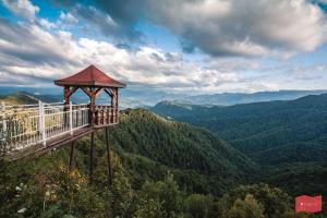 ������: ������������� ��� ����