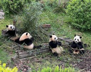 ����� - ����������, ���� ������. ���� � �������! ����� �� � - ����������