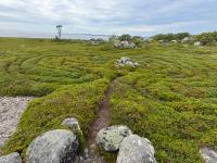 �������. � ������ ������� ���