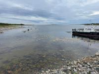 �������. ��������� �������� ������