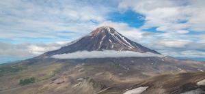 ������������ ��������