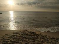 ���������� �������