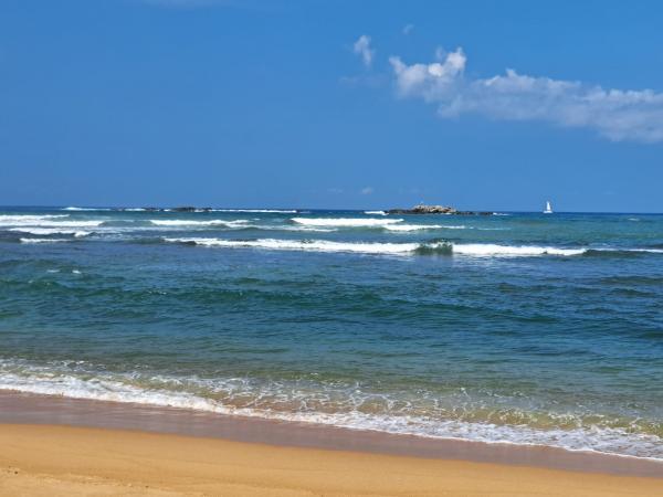 �������� ��� - �����. �������� � �����