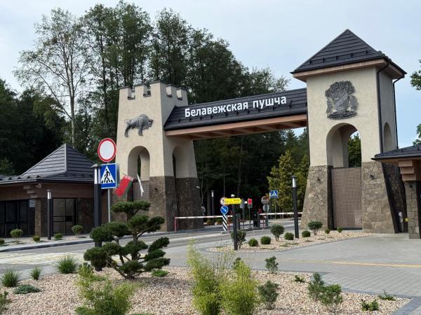 �������� - ��� � ��������: ����� - ����� - ���������� ����� - �������