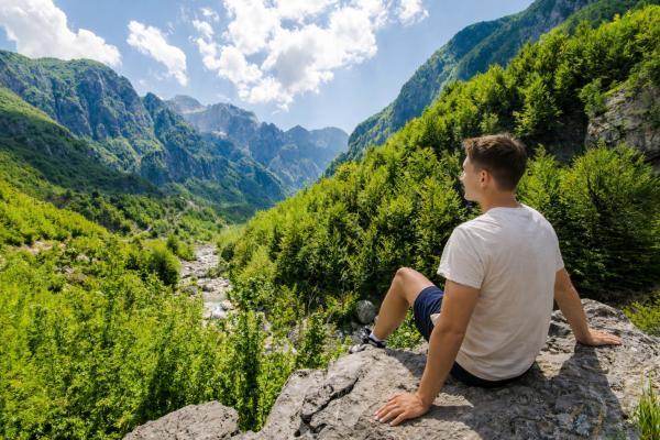 ��������� ���� ������ � ��������, 5 ���� + ���� ��� �/�, ������-������