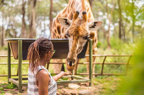 ������� �������� ��������