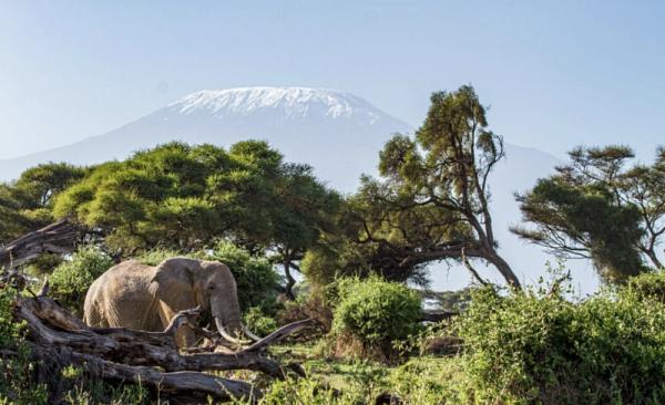 ������� �������� ��������