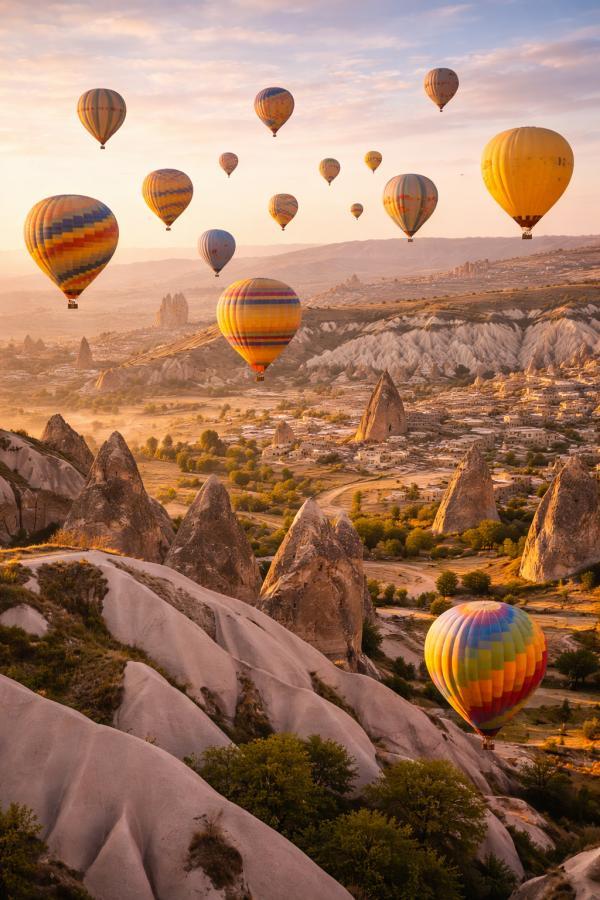 �������� �������: ����������, �������, ����������� ���������, 9 ���� + ����