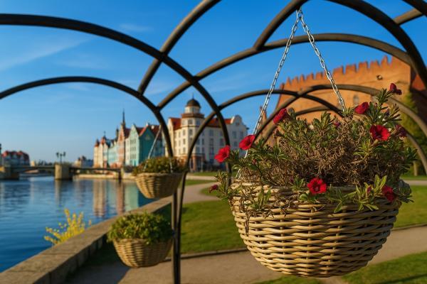 �������� ��������������� ����, 3 ��� 4 ��� + �/� ��� ����