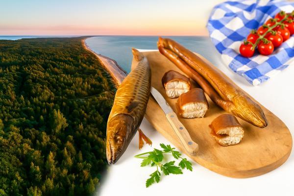 �������� �����������: �����������, �����������, ������������, 3 ��� 4 ��� + ���� ��� �/�