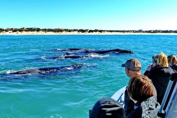 ����� ������ - ����� �����, 9 ���� + ���� 24.10.2026 - 01.11.2026