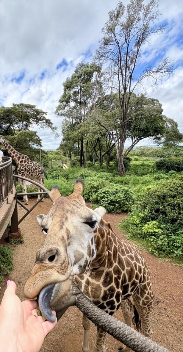 ������������ �������� 6 ���� / 5 ����� + ���� 14.06.2026 - 19.06.2026