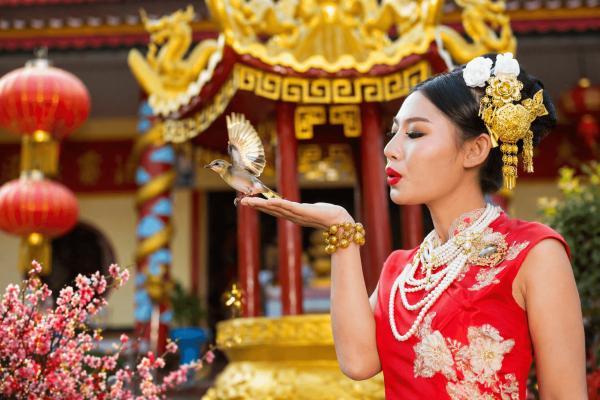 ����� | ������ � ������ � ������� � ����������, 6 ���� / 5 �����, � / � � ������, ������ - �����