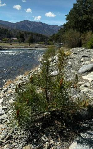 ������� ������� ����� � �������� (6 ����)