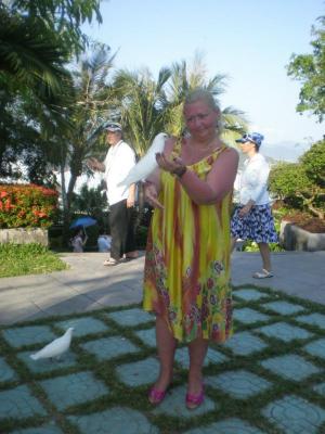 ������� - ������ ������������, �������� � ����������� ������.10 ��. - 62 000 �.